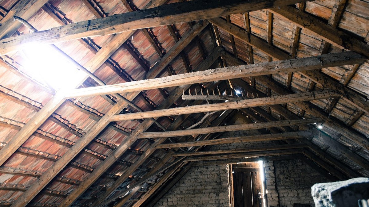 Attic Water Damage Cleanup in Orlando, FL