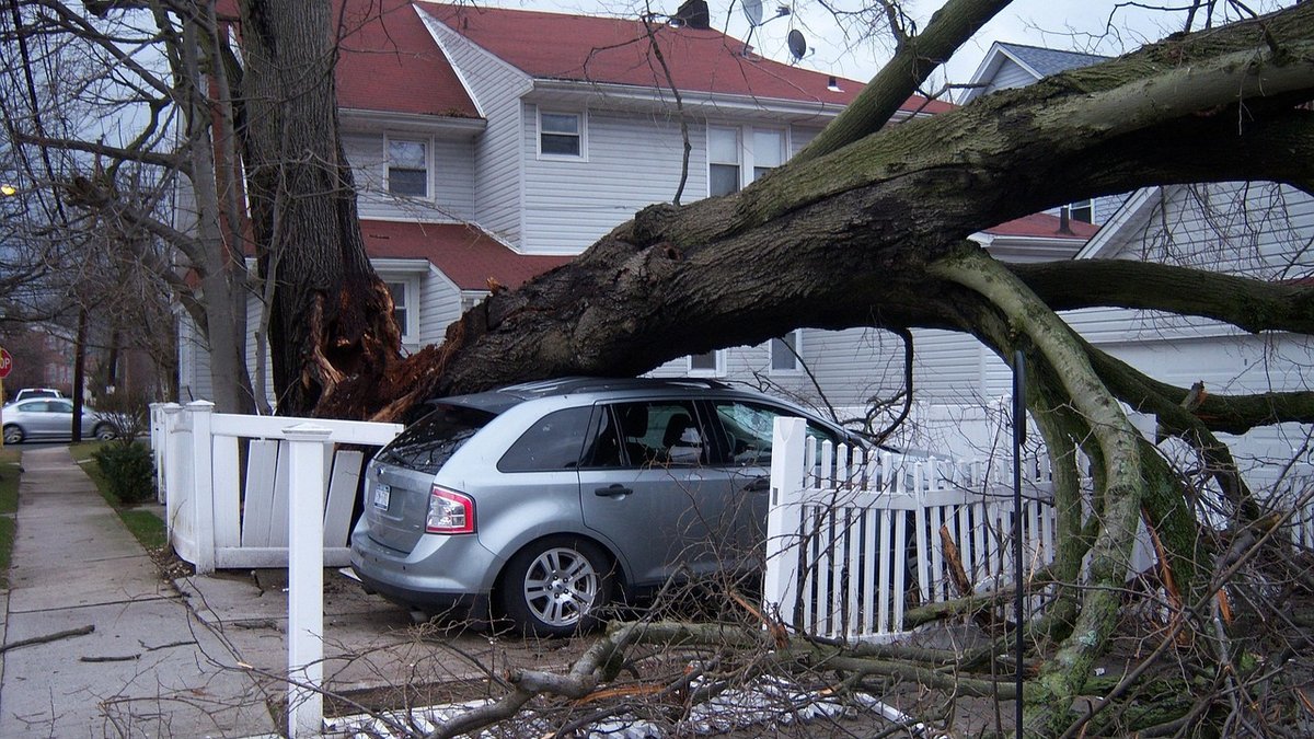 Storm & Hurricane Damage Repair Services in Orlando, FL